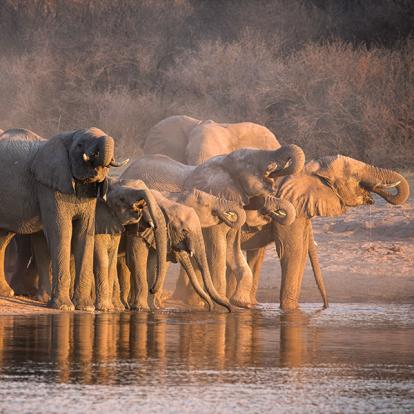 Guide de Voyage - Tanzanie