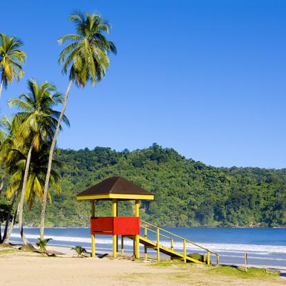 Guide de Voyage - Trinité et Tobago