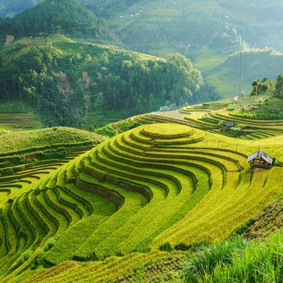 Vietnam