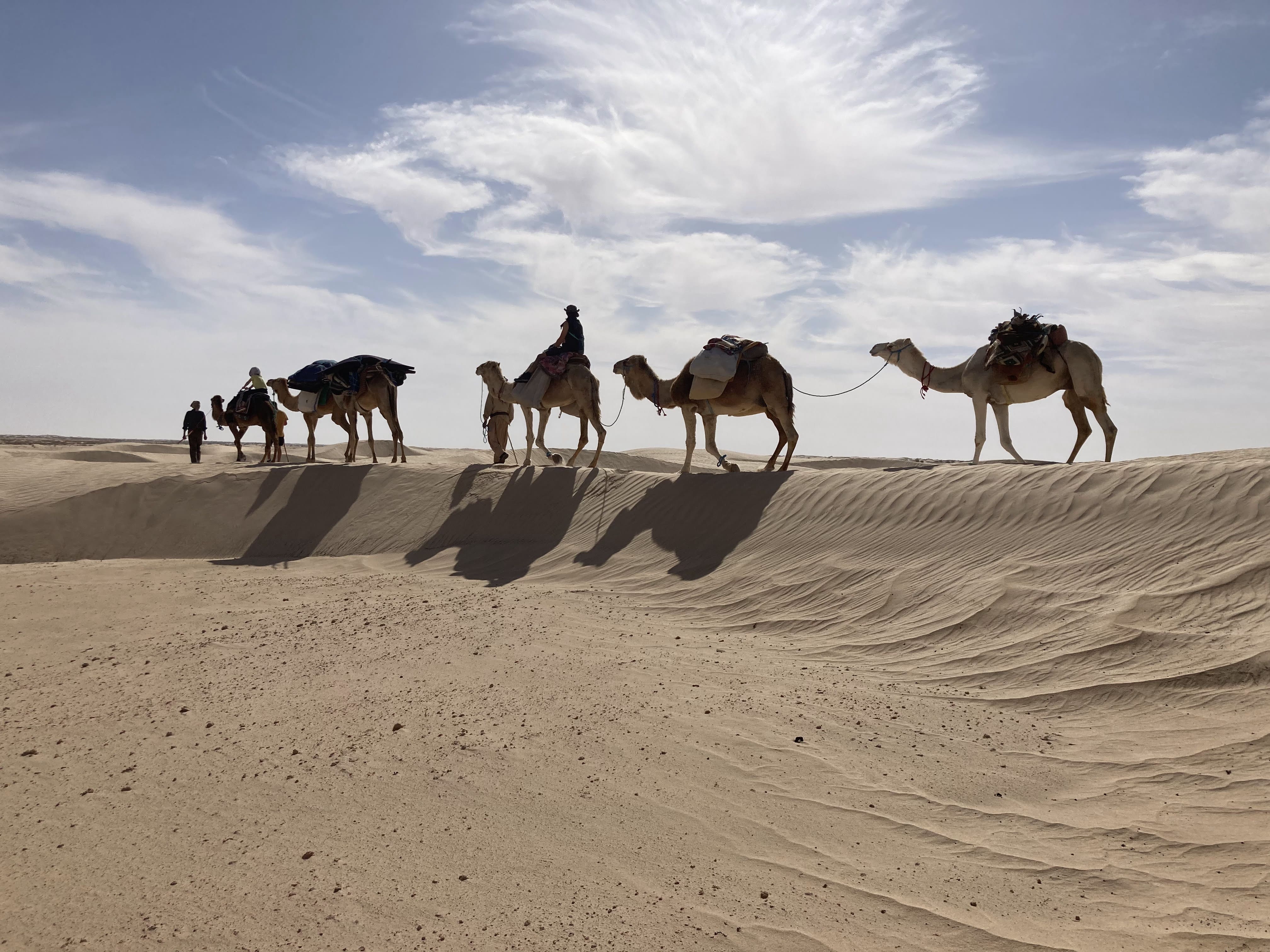 Voyage en Tunisie de Cécilia B.