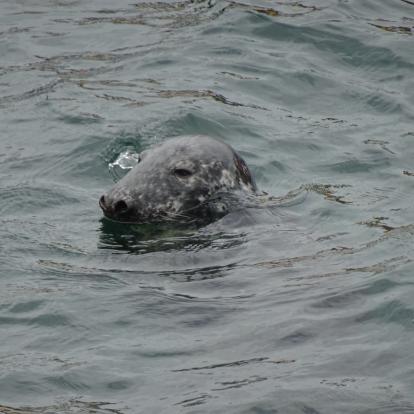 Voyage en Ecosse de Michel L.