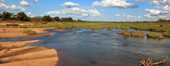 Trek en Afrique Du Sud - Les Réserves du Zululand à Pied