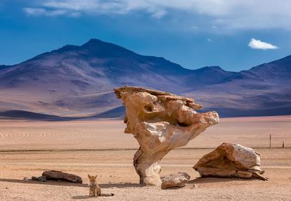 Siloli Desert Combinée Bolivie et Pérou - Des Incas aux Quechuas