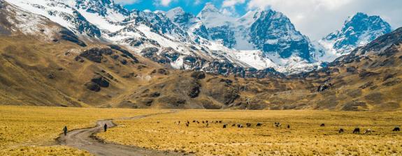 Voyage en Bolivie - Caravane Andine