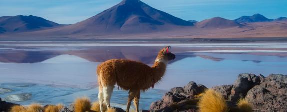 Voyage en Bolivie - Chasse au trésor en Bolivie