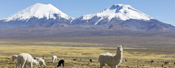 Voyage en Bolivie - Grands Parcs Boliviens