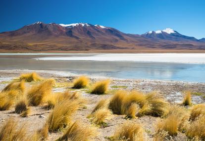 Laguna Hedionda Voyage en Bolivie - Les Incontournables de la Bolivie