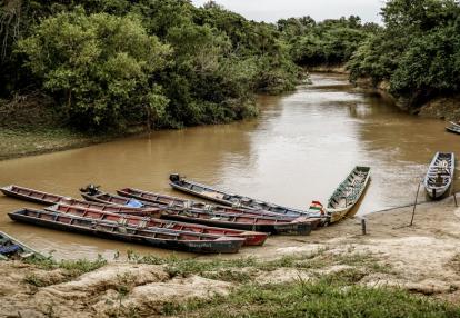 Rurrenabaque Voyage en Bolivie - Survie dans le Madidi