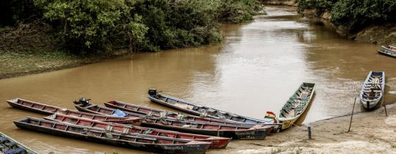 Voyage en Bolivie - Survie dans le Madidi