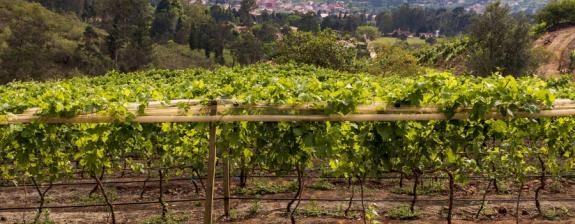 Voyage en Bolivie - Vins et Couleurs de Bolivie