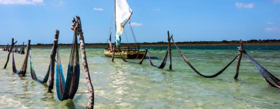 Circuit au Brésil : Sous le Soleil Exactement