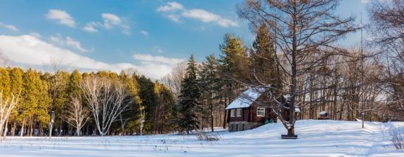 Voyage au Canada - Ma Cabane au Canada