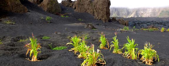 Voyage au Cap-Vert - Combiné les îles du Sud