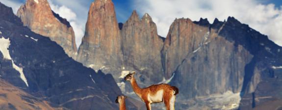 Voyage  au Chili : Panoramas de Patagonie - 18J/17N