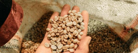 Voyage en Colombie - Culture du Café à la Saveur Caribéenne