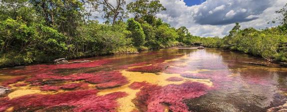 Voyage en Colombie - Authenticité et Dépaysement