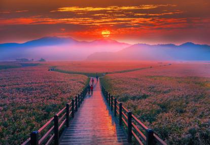 Lever de soleil à Suncheon Voyage en Corée du Sud - La Vague Coréenne