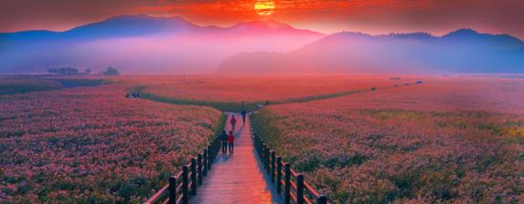 Voyage en Corée du Sud - La Vague Coréenne