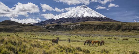 Trekking en Equateur- Cotopaxi et Chimborazo