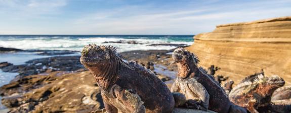 Voyage en Equateur - Des Andes aux Galapagos