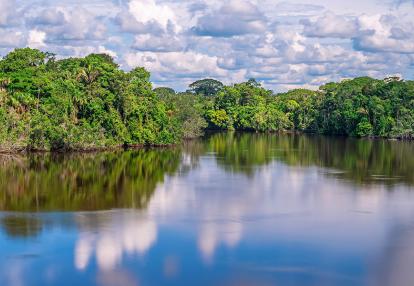 Yasuni national park Voyage en Equateur - Au fil du fleuve Napo
