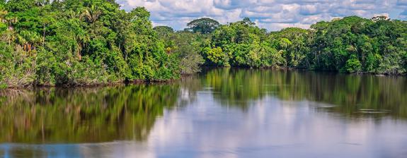 Voyage en Equateur - Au fil du fleuve Napo