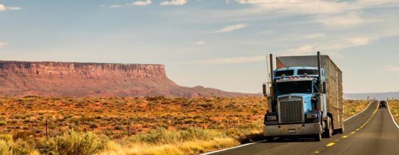 Voyage aux USA - Let's Go West Tour