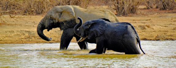 Voyage au Ghana - Escapade dans le Ghana Authentique