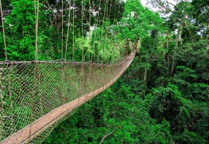 Kakum National Park Voyage au Ghana - Voyage au Ghana - Les Perles du Sud Ghana