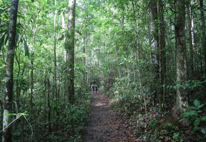 Saul Voyage en Guyane - Circuit Découverte Nature
