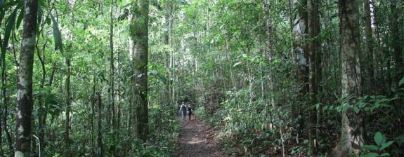 Voyage en Guyane - Circuit Découverte Nature