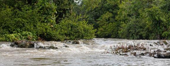 Voyage en Guyane - Séjour Sport et Nature