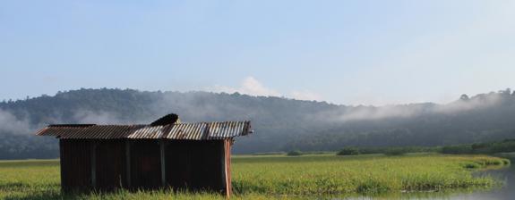 Voyage en Guyane - Séjour T'Air de Nature