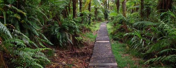 Voyage Ile de La Réunion - Les Mini'Treks à la Carte