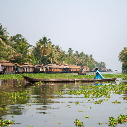 Voyage en Inde - Le Kerala en Famille
