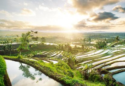 Jatiluwih Rice Terraces Voyage en Indonésie - De Singapour à Bali, les contrastes de l’Asie
