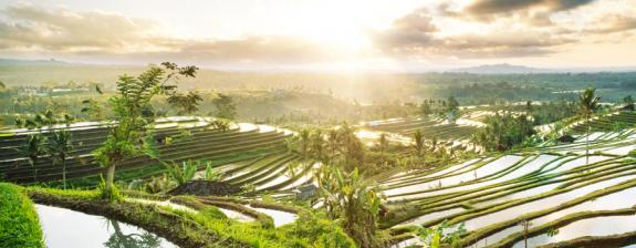 Voyage en Indonésie - De Singapour à Bali, les contrastes de l’Asie