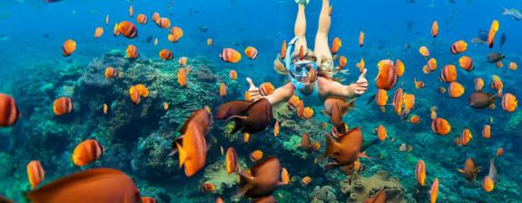 Plongée en Indonésie - Escapade à Bali