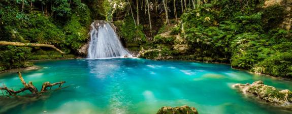 Voyage en Jamaïque - Jamaican Roots