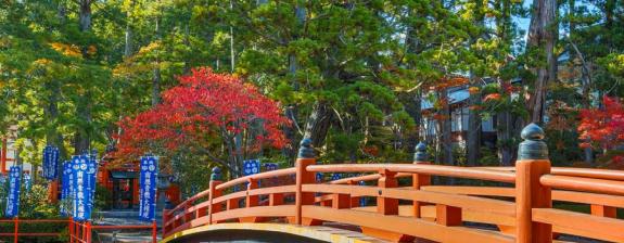 Voyage au Japon - Couleurs d'Automne