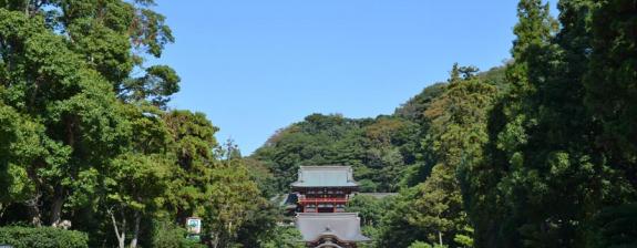 Visite Guidée à Tokyo - Excursion à Kamakura 