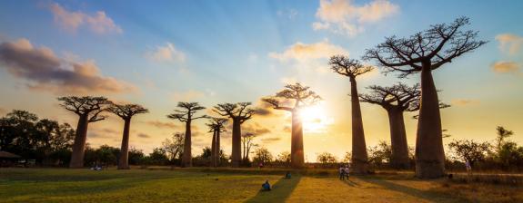 Voyage à Madagascar - L'Ouest Insolite