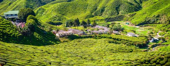 Voyage en Malaisie - Terre de Contrastes