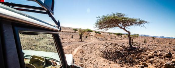 Circuit au Maroc : Le désert,  sur les traces du Paris-Dakar