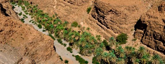 Circuit au Maroc - Palmeraies de l’Atlas