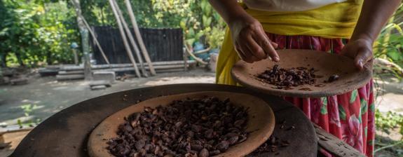 Voyage au Mexique : Hacienda, Café et Tajin