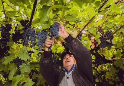 Découvrez la vie rurale en Moldavie