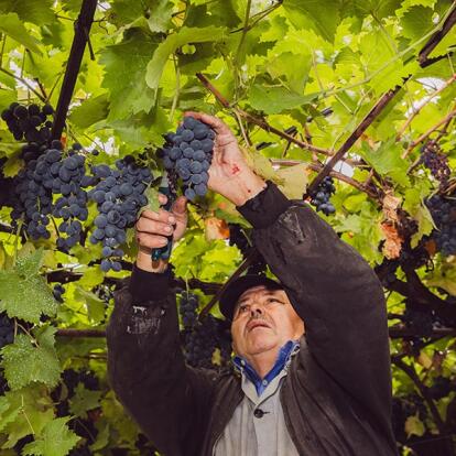 Voyage en Moldavie - Découvrez la vie rurale