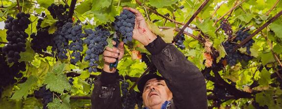 Voyage en Moldavie - Découvrez la vie rurale