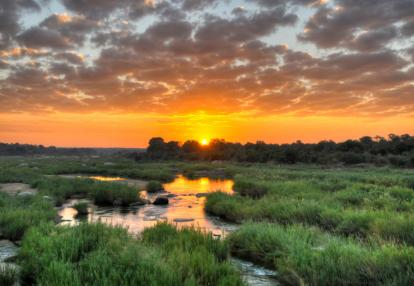 Parc National Kruger Voyage au Mozambique - A la Découverte du Sud Mozambique et du Parc Kruger